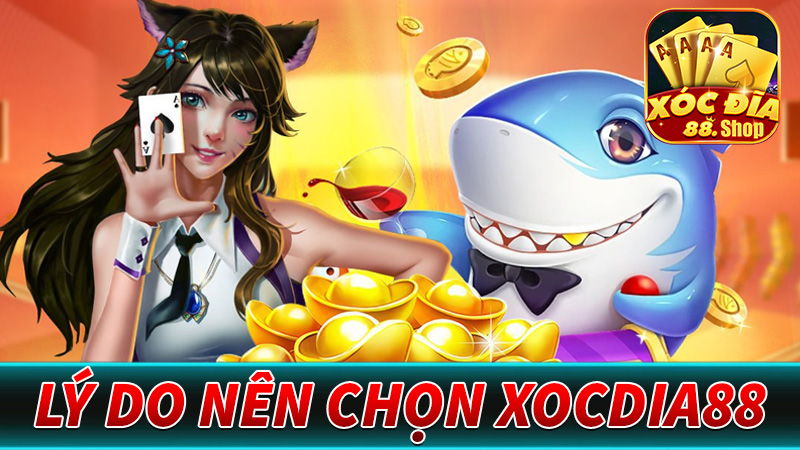 Lý Do Nên Chọn Xocdia88